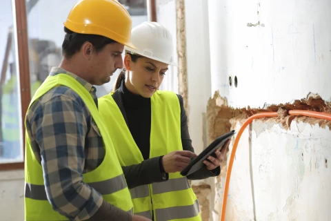 Boris-App-audits-voordelen